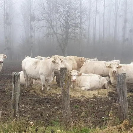 Feriehus Le Fier Paon *